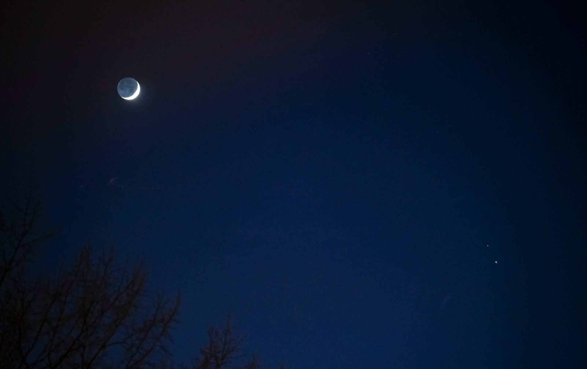 The night sky is deep blue, framed at bottom left by leafless trees branches. At top left, the Moon glows. Saturn and Jupiter are visible at upper right and upper left, respectively.