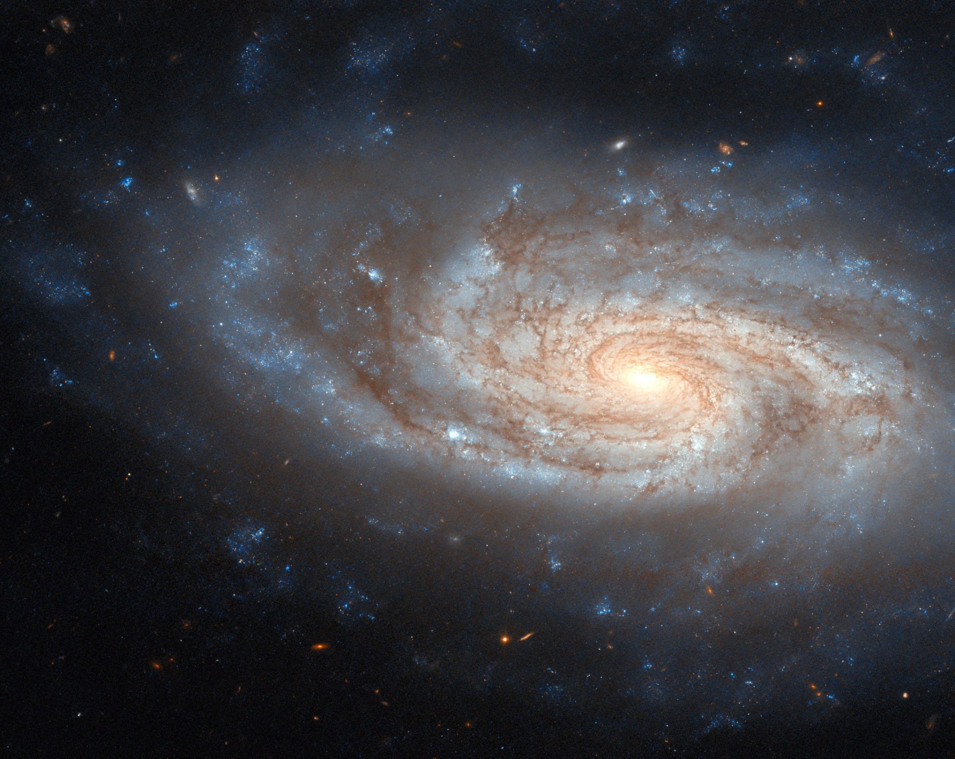 A spiral galaxy with three prominent arms wrapping around it. The galaxy holds plenty of extra gas and dark dust between the arms. There are shining blue points throughout the arms and some patches of gas out beyond the galaxy’s edge, where stars are forming. The center of the galaxy also shines brightly. It is on a dark background where some small orange dots mark distant galaxies.