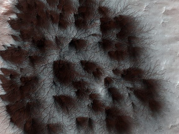 Spidery 'Veins' on Mars