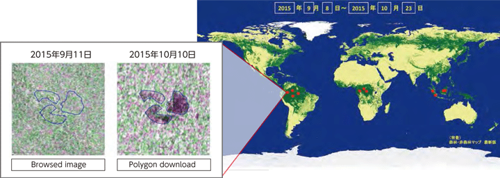 EORC’s Attempt to Restrict Illegal Logging and Global Warming with the Forest Change Detection System in collaboration with JICA