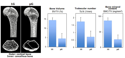 Figure 2: Click to enlarge