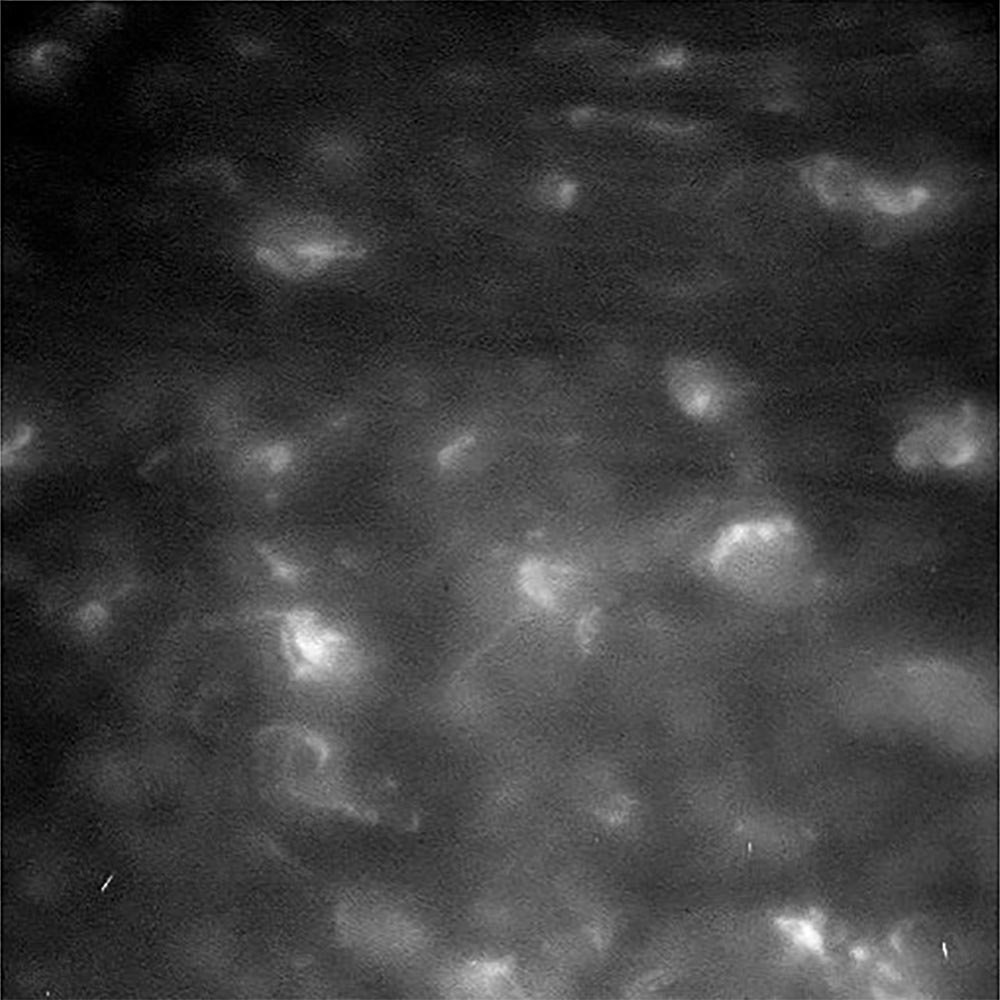 Saturn's Swirly Atmosphere